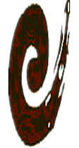 K|޹˾